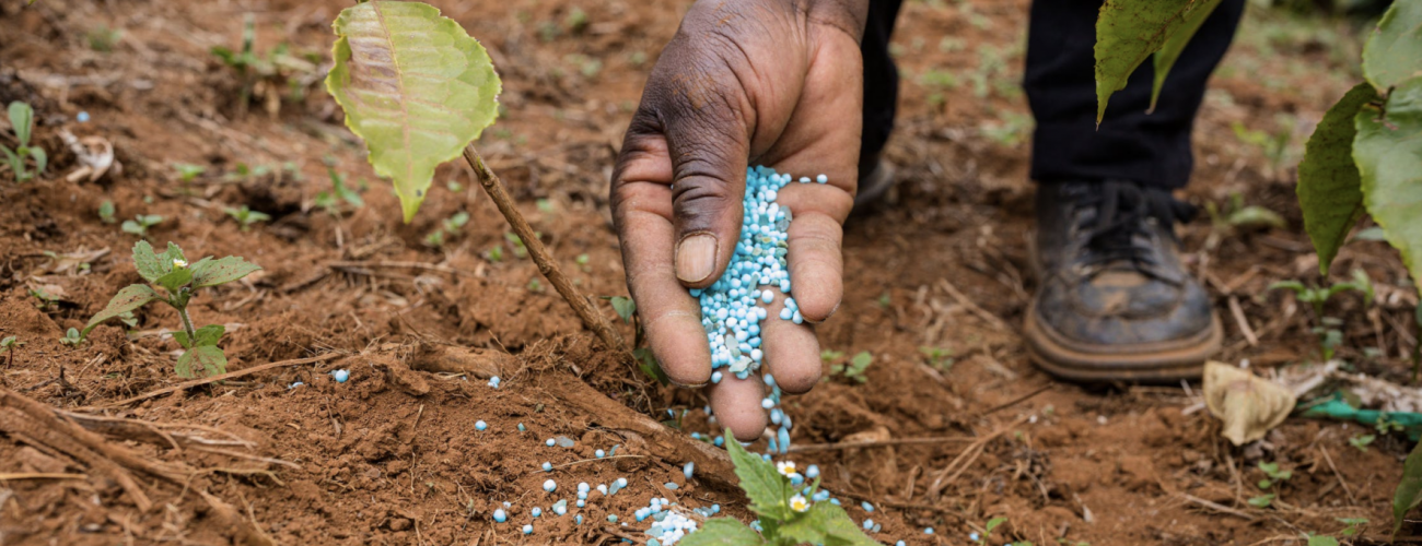 engrais-afrique-1770x780